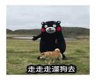 讲一个熊的动画片
