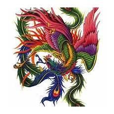 凤凰图片大全大图霸气